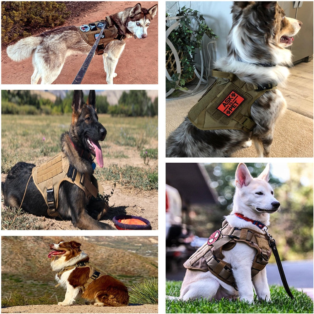 Training Vest Dog Harness Leash and Collar Set - essentialslifeshop