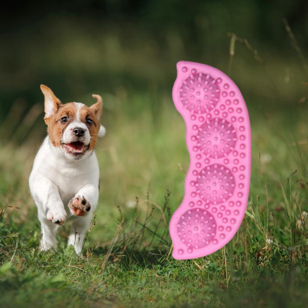 Teething Pet Supplies - essentialslifeshop