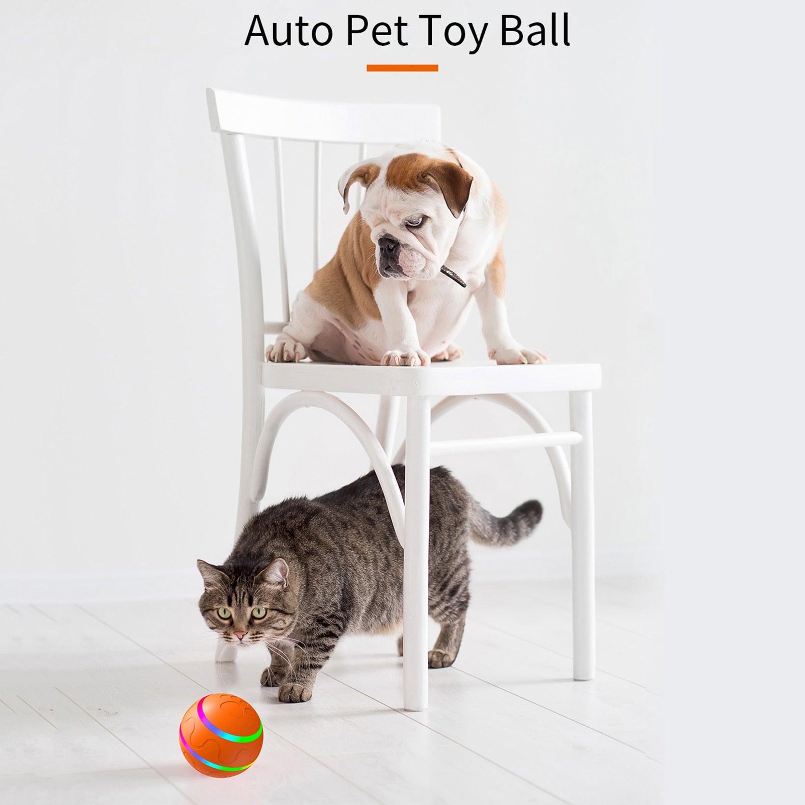 Puppy Cat Pet Remote Control Self Rotating Ball - essentialslifeshop