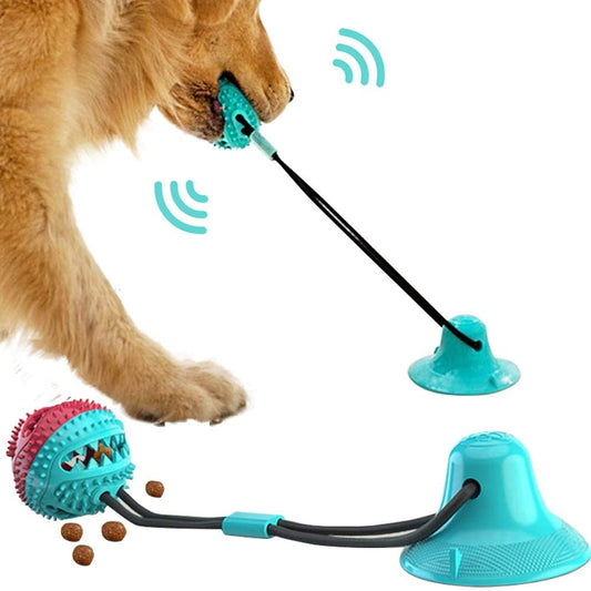 Silicon Suction Cup Tug Interactive Dog Ball Toy - essentialslifeshop